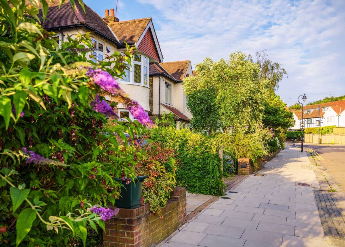A combination of fencing, soft shrubs and a well-positioned patio offer privacy and relaxation in a typical suburban garden. Picture: iStock A combination of fencing, soft shrubs and a well-positioned patio offer privacy and relaxation in a typical suburban garden. Picture: iStock