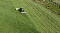 Aerial view of grass being cut for silage