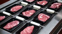 Steaks on a conveyor belt being packaged in a food processing plant