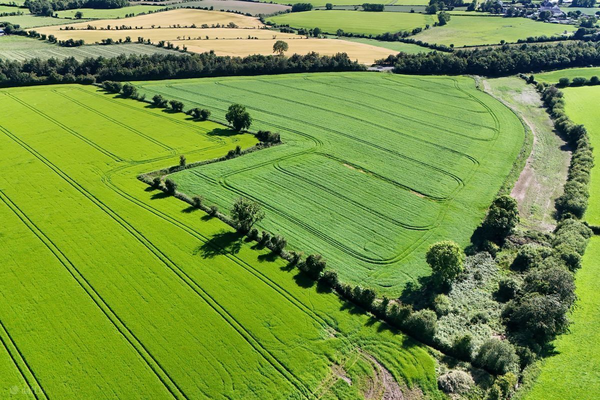 Some of the tillage land on the 57-acre farm for auction at Dungeer, Taghmon, Co. Wexford. Some of the tillage land on the 57-acre farm for auction at Dungeer, Taghmon, Co. Wexford.