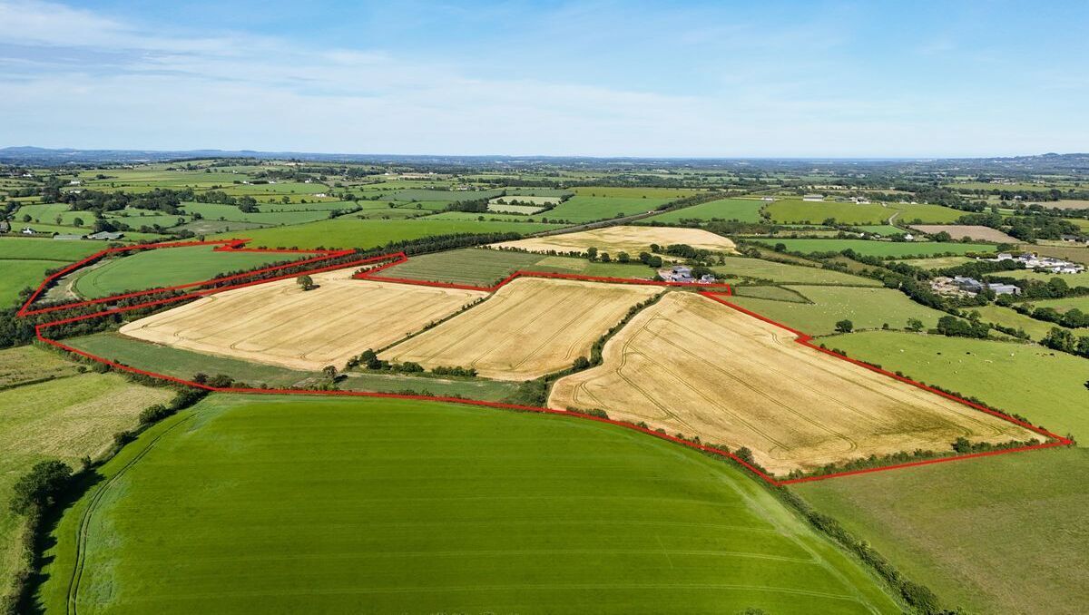 Marked aerial view of the 57-acre farm for auction at Dungeer Taghmon, Co. Wexford.