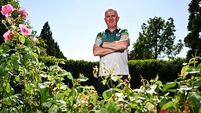 Limerick GAA Hurling Pre-All-Ireland Senior Final Media Conference