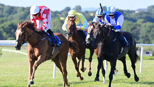 <p>El Galvino and Robbie Colgan win the Waterford Castle And Resort Style Evening August 15th Maiden. Pic: Healy Racing</p> <p>El Galvino and Robbie Colgan win the Waterford Castle And Resort Style Evening August 15th Maiden. Pic: Healy Racing</p>