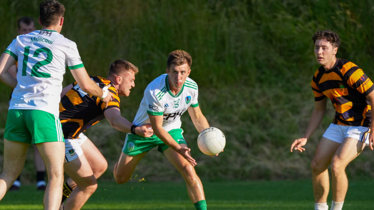 Muskerry set up Carbery showdown with impressive win over Avondhu