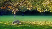 Heatwave conditions expected as temperatures to surge into 30s