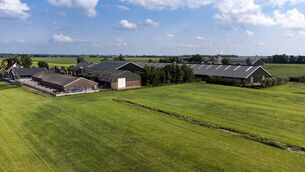 <p>Dutch agriculture uses about 1.6 million hectares in the Netherlands, but the country’s food production, consumption and exports require about 4.7 million hectares of agricultural land abroad, experts say. File picture</p>