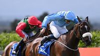 Duckadilly and Phenomenal Filly should fight out the finish at Leopardstown