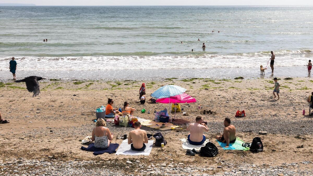 Michael Moynihan: Skincare has improved since the 1976 heatwave, but what about everything else?