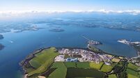 How 50 years of innovation and investment have fuelled Bord Gáis Energy – and empowered Cork