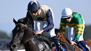 <p>Floresta and Ben Coen win for trainer Johnny Murtagh. Pic: Healy Racing</p> <p>Floresta and Ben Coen win for trainer Johnny Murtagh. Pic: Healy Racing</p>