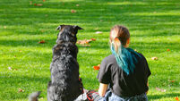 E98PD2 Girl and the dog resting on the grass