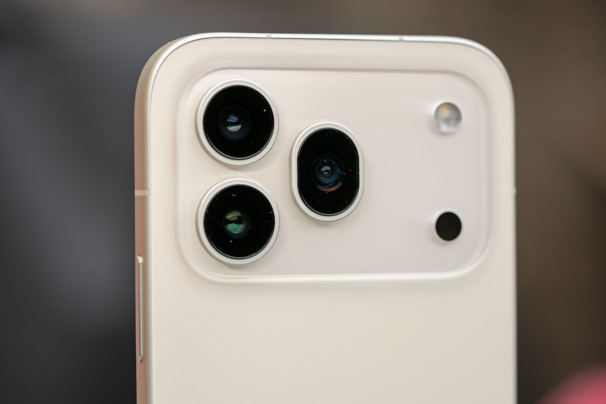 The Honor 600 Pro provides enough variety to handle everything from wide landscapes to more detailed close-up shots. Picture: Noel Campion The Honor 600 Pro provides enough variety to handle everything from wide landscapes to more detailed close-up shots. Picture: Noel Campion