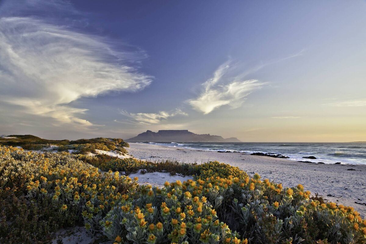 Table Mountain, Cape Town, South Africa