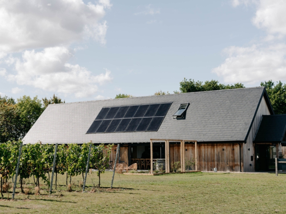 Burnt House Vineyard in Suffolk