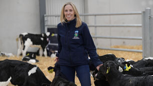 <p> Professor Karina Pierce at UCD Lyons Farm. Picture: Moya Nolan</p> <p> Professor Karina Pierce at UCD Lyons Farm. Picture: Moya Nolan</p>