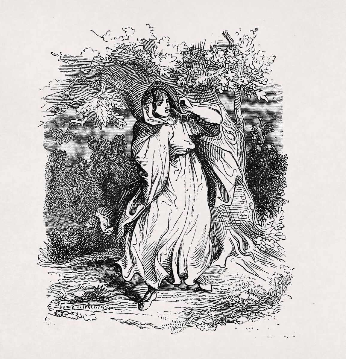 A Banshee is a female spirit in Irish folklore who heralds the death of a family member, usually by screaming, wailing, shrieking, or keening. This illustration was made in 1863 for the Dictionnaire infernal writen by Jacques Collin de Plancy.