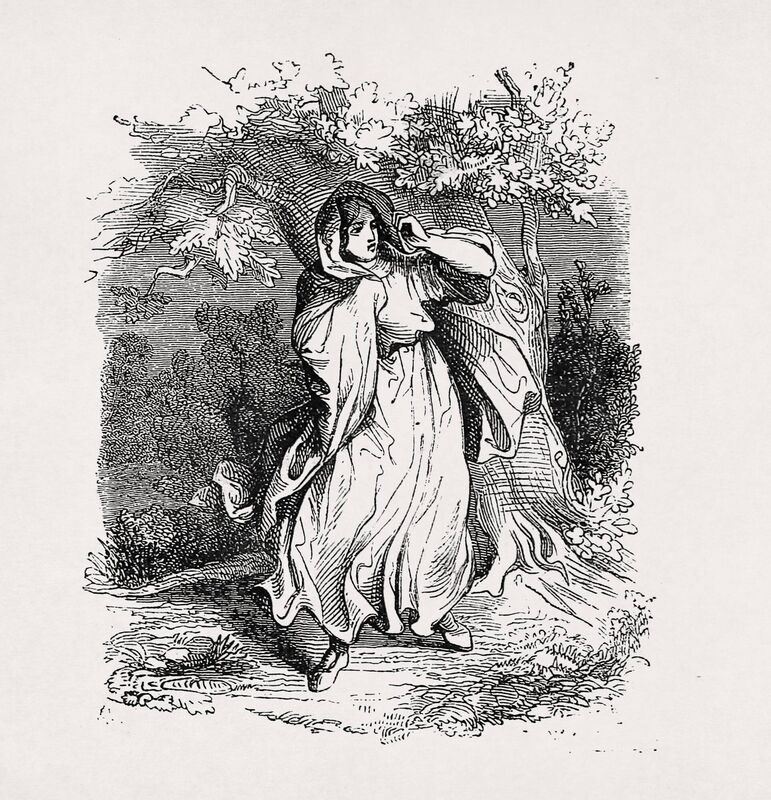 A Banshee is a female spirit in Irish folklore who heralds the death of a family member, usually by screaming, wailing, shrieking, or keening. This illustration was made in 1863 for the Dictionnaire infernal writen by Jacques Collin de Plancy. A Banshee is a female spirit in Irish folklore who heralds the death of a family member, usually by screaming, wailing, shrieking, or keening. This illustration was made in 1863 for the Dictionnaire infernal writen by Jacques Collin de Plancy.