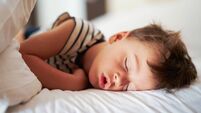Picture of a tired young boy sleep on holidays