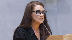 <p>Submissions to the committee, which formed the basis of the report were also published on Thursday, with former garda Margaret Loftus writing to it to highlight loopholes in the rules around gardaí who are accused of domestic violence. File photo: Sam Boal/Collins Photo</p>