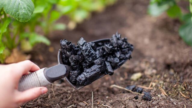 <p>Biochar fertiliser. Picture: iStock</p>