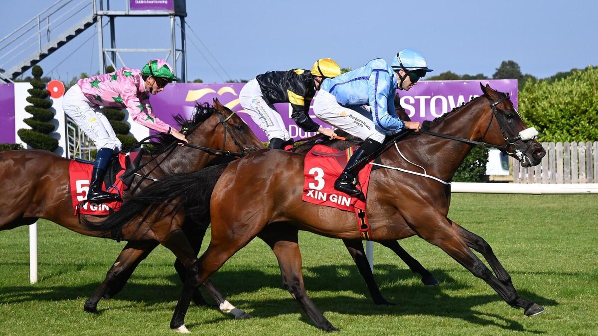 Duckadilly delivers birthday joy for McCullagh in Leopardstown