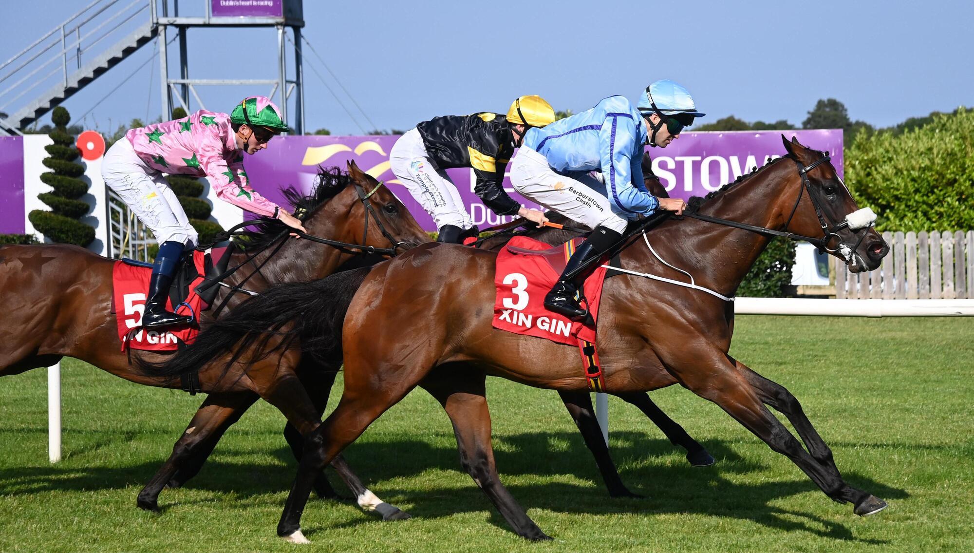 Duckadilly delivers birthday joy for McCullagh in Leopardstown