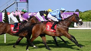 <p>Duckadilly and Scott McCullagh win for trainer Danny McLoughlin Pic: Healy Racing</p> <p>Duckadilly and Scott McCullagh win for trainer Danny McLoughlin Pic: Healy Racing</p>