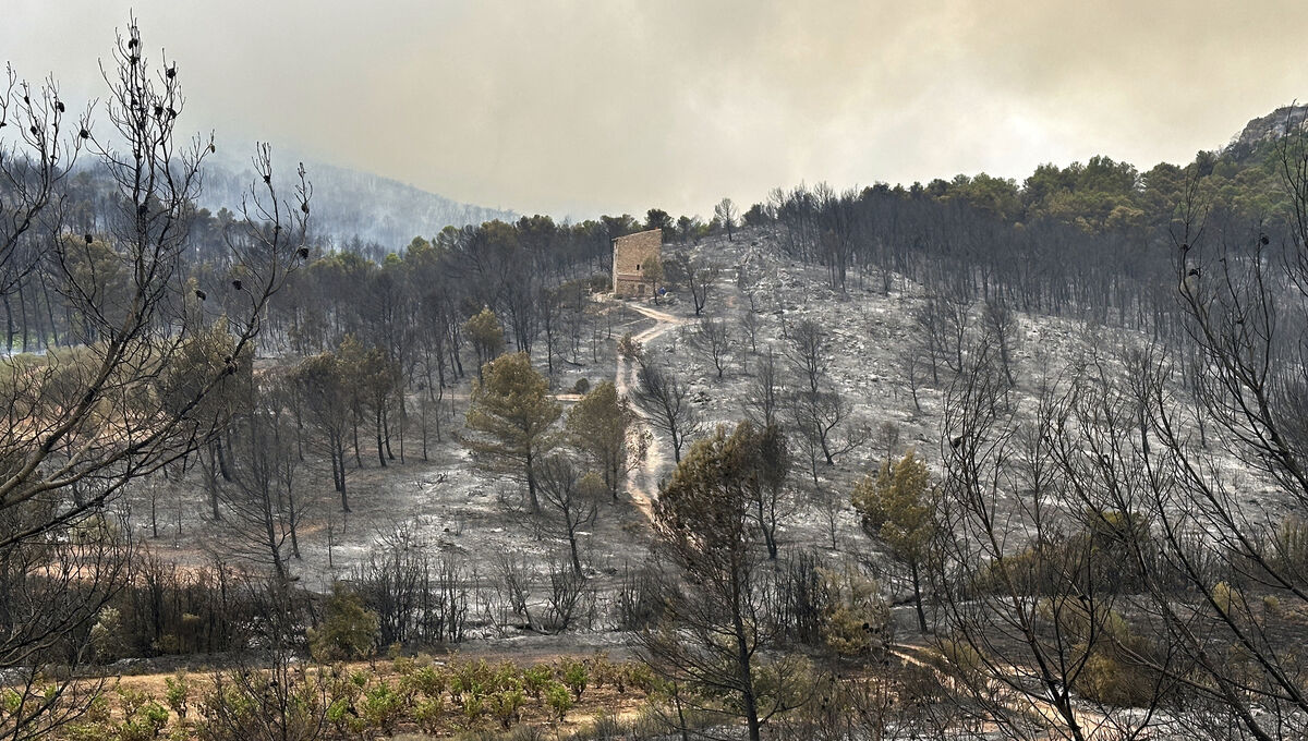 A house stands in the middle of burned trees during France's biggest wildfire last summer, near Durban-Corbieres, southern France. Picture: AP A house stands in the middle of burned trees during France's biggest wildfire last summer, near Durban-Corbieres, southern France. Picture: AP