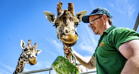 Watch: Fota animals cool down during the heatwave