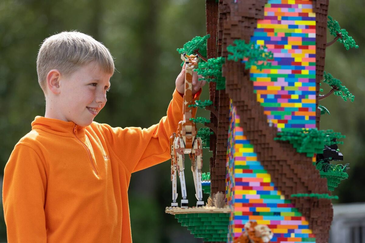 Dublin Zoo is offering a brick-built safari experience built from over 3.5 million bricks Dublin Zoo is offering a brick-built safari experience built from over 3.5 million bricks
