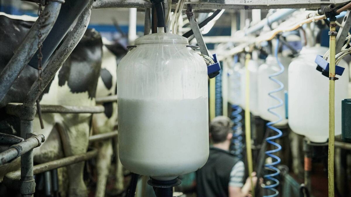 How Ireland's milk is powering a booming medical nutrition and protein market
