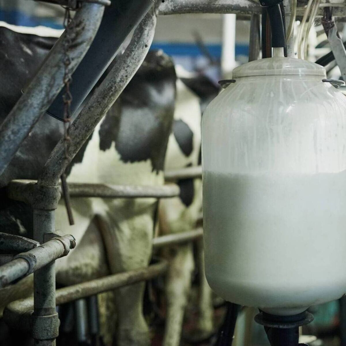 irishexaminer.com - Alan Healy - How Ireland's milk is powering a booming medical nutrition and protein market