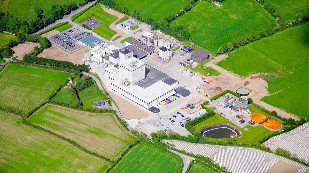Danone operates a significant baby formula production facility in Macroom, producing brands like Aptamil and Cow &amp; Gate. In May, they announced plans to invest in its Macroom operation, adding 230 jobs to produce specialised liquid nutrition and protein drinks.