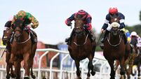 Weekend racing preview: Deluca Chop can complete treble at Limerick
