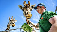A selection of images chosen by the Irish Examiner picture desk