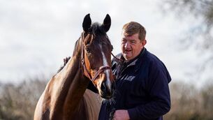 <p>People’s favourite Hewick was retired by trainer Shark Hanlon following his third place behind Reverend Hubert in the RBC Brewin Dolphin Hurdle in Cork last night.</p> <p>People’s favourite Hewick was retired by trainer Shark Hanlon following his third place behind Reverend Hubert in the RBC Brewin Dolphin Hurdle in Cork last night.</p>