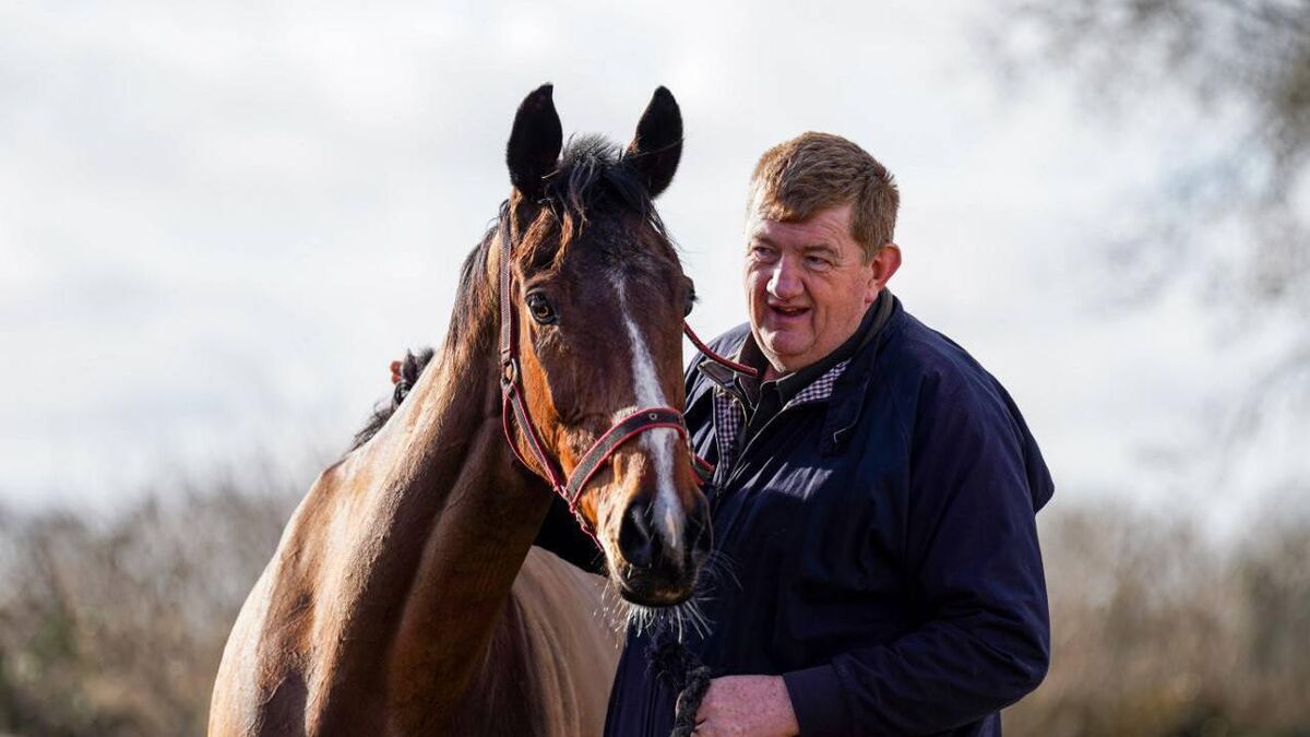 Hewick retired by trainer following third place finish in Cork