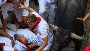 A black bull broke away from the pack (Miguel Oses/AP) A black bull broke away from the pack (Miguel Oses/AP)