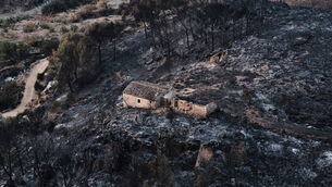 A burnt area Bedar, near Almeria (Gregorio Marrero/AP)