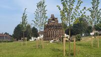 Man dies after falling from bonfire in Belfast