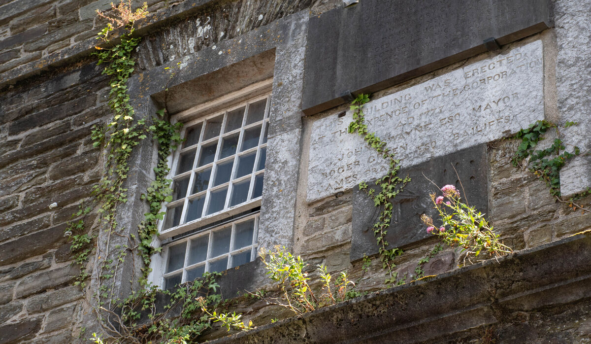  Weeds and ivy growing around the windows of the Youghal Clock Gate Tower, making it difficult to read the plaque dating from 1777. Picture: Howard Crowdy