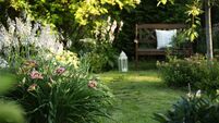 wooden garden bench in summer with curvy stone pathway and blooming day-lily