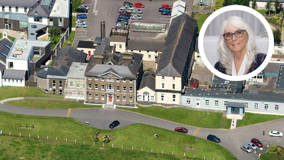 Therese Meyer, inset, said the Government must step in and compulsorily purchase the Bessborough site, and order a forensic examination of the grounds. Therese Meyer, inset, said the Government must step in and compulsorily purchase the Bessborough site, and order a forensic examination of the grounds.