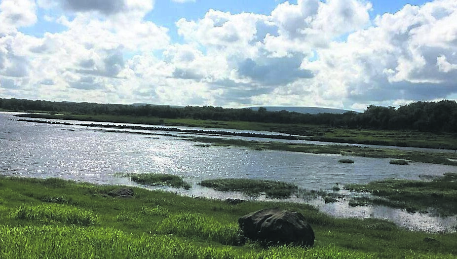 Coole Lough is one of Ireland’s foremost examples of a turlough; a lake where water levels rise and fall with startling rapidity. Coole Lough is one of Ireland’s foremost examples of a turlough; a lake where water levels rise and fall with startling rapidity.