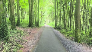 <p>Lady Augusta Gregory’s Coole Park and its seven woodlands in Co Galway became the centre of the Literary Revival. Pictures: John G O'Dwyer</p> <p>Lady Augusta Gregory’s Coole Park and its seven woodlands in Co Galway became the centre of the Literary Revival. Pictures: John G O'Dwyer</p>