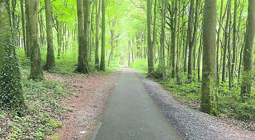 Lady Augusta Gregory’s Coole Park and its seven woodlands in Co Galway became the centre of the Literary Revival. Pictures: John G O'Dwyer
