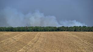 Smoke billows into the sky during wildfires at the historic Fontainebleau forest (Emma Da Silva/AP)