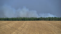 France Wildfires