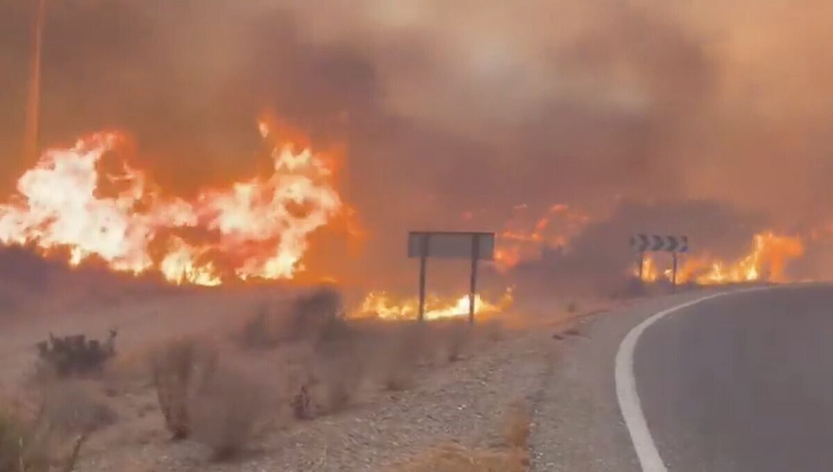 Part of a wildfire in Almeria, Andalucia, that killed 11 people in southern Spain last week. Photo: EMA Infoca/PA Part of a wildfire in Almeria, Andalucia, that killed 11 people in southern Spain last week. Photo: EMA Infoca/PA