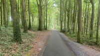 Woodland Path, Coole.JPG ‘Do not buy these flats’: residents warn about unbearable heat inside new-builds